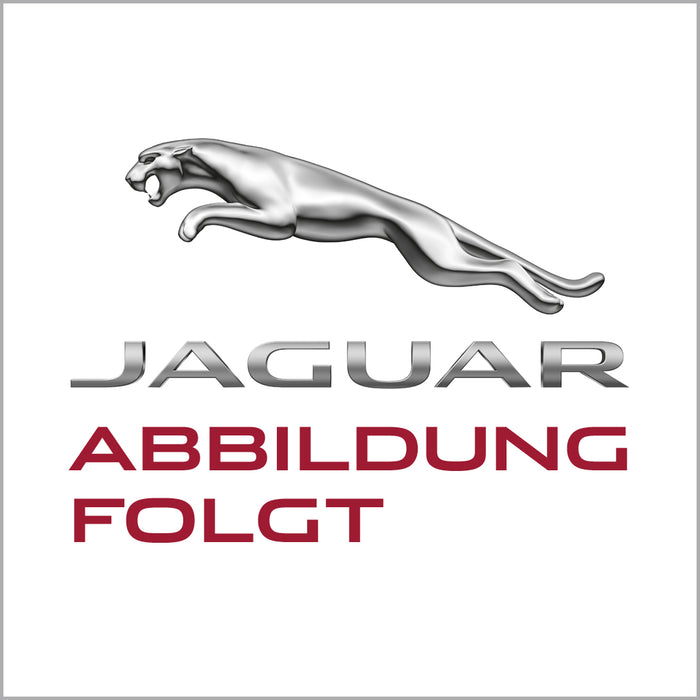 Auto Leder Kofferraummatten Für Jaguar XJ 2018 2019 2020, Passgenaue Hohe  Seite Kofferraumwanne Schutzmatten Allwetter Kratzfest Teppich Innere